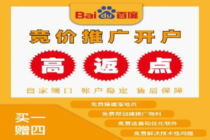 SEM代运营服务公司成功案例解析